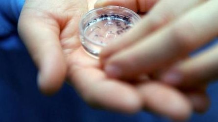 深圳做三代试管要准备多少钱，广东试管助孕的价格清单2026年