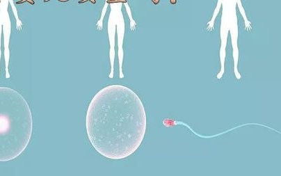 上海试管去哪家做？试管婴儿医院怎么选