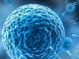 2026在侯马市做基因检测多少钱？基因筛查可以规避哪些遗传病？