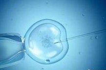 青岛地区有哪些私立的机构可以做试管技术？怀孕五个月能否吃海螺肉须知