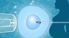 2026年在长春市能够做试管婴儿的医院有几家？