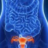 2026荆州公立医院三代试管婴儿的费用明细公布！