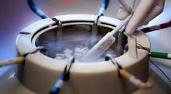 2026在兰州市做基因检测多少钱？基因筛查可以规避哪些遗传病？