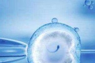 RFG试管婴儿：全面分析治疗过程中可能遇到的困难
